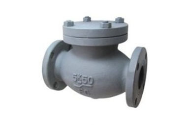 船用日标铸铁直通止回阀F7358
