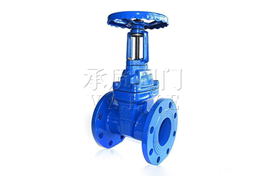 Z545X大口径软密封闸阀