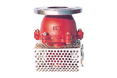 铸铁吸入式止回阀(图) 铸铁吸入式止回阀